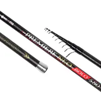 Вудилище поплавцеве болонське GCxTica Premiere NEO Bolo 4.80м 30-60г