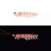 Силікон Daiwa Kaiteki Real Okiami Worm S (6шт) raw krill