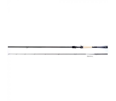 Вудилище спінінгове Daiwa 21 Blazon C72H-2 2.18m 11-42g