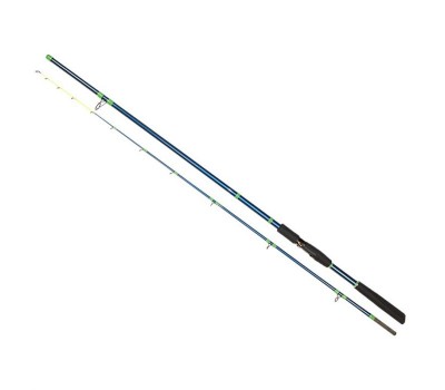 Вудилище спінінгове Golden Catch Armatur Spin 3.00m 100-250g